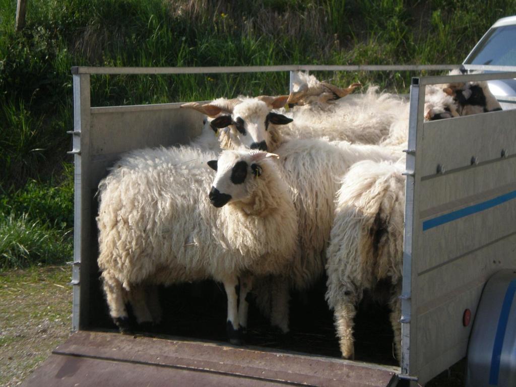 D'hote La Petite Bergerie Abondance